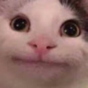 Meet your Posher, Polite